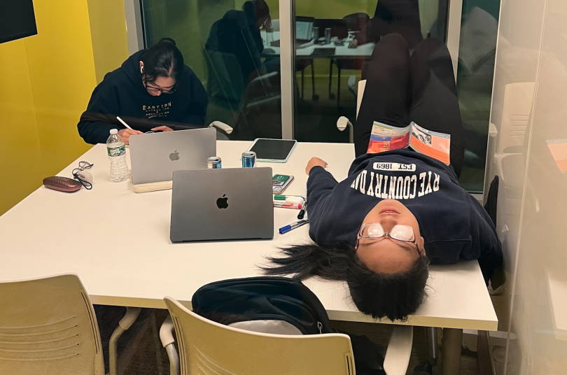 Two girls studying in a study room. The one on the left is taking notes from lectures, and the other is taking a break on the table!