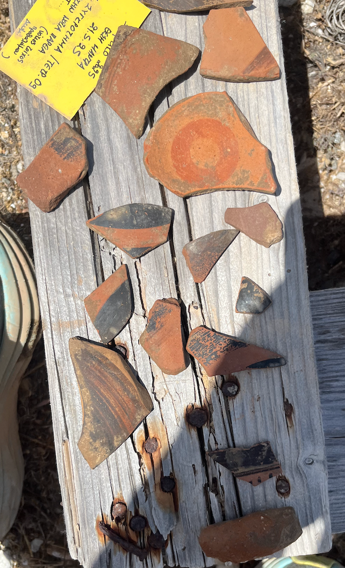Pottery sherds on a wooden plank