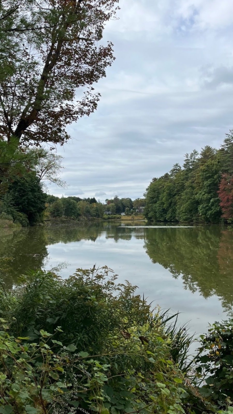 An open pond, with sky reflecting on its surface, surrounded by trees and serenity. 