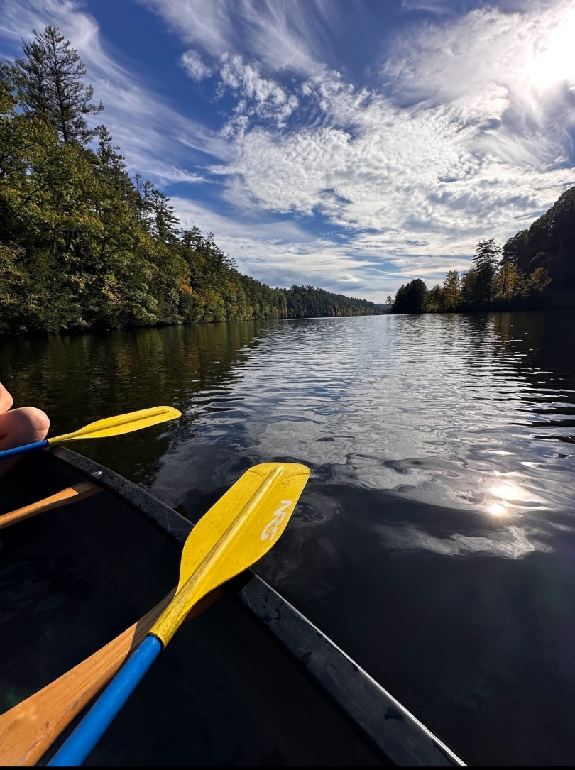 An open river with an endless amount of trees on the side of the lakes, on the horizon, in front of you sit two bright yellow paddles and a canoe tandem. 