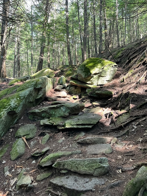 A rocky path full of roots winding up a hill. 