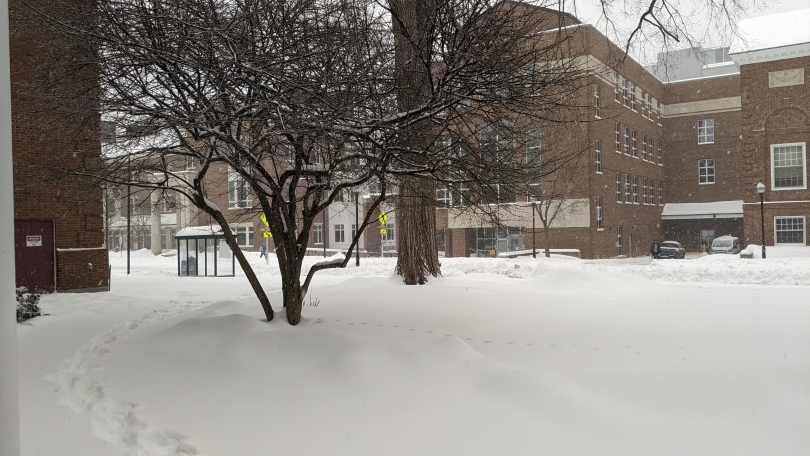 Beautiful winter scene as I walked to my morning class