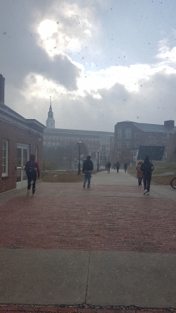 The fist snow in Dartmouth