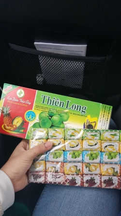 Vietnamese Durian Candy