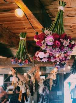 A bouquet of dried flowers hanging from a wooden ceiling.