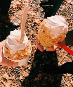 Two hands holding soft-serve ice cream covered in maple sugar sprinkles with leaves in the background.