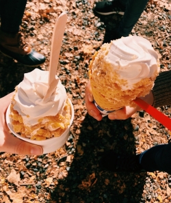 Maple Creemees!! Two hands holding soft-serve ice cream covered in maple sugar sprinkles with leaves in the background.