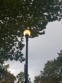 Light Pole