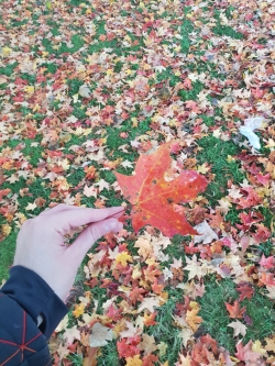 Holding a Leaf