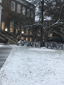 Baker in the Snow