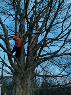 Climbing a tree at Dartmouth Climbing a tree at Dartmouth