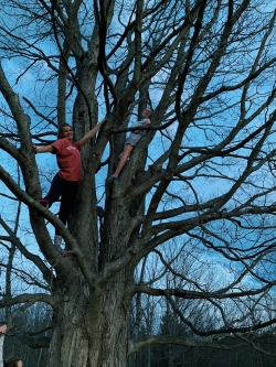 Climbing a tree at Dartmouth