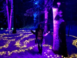Some of the gorgeous lights at BEMA! Some of the gorgeous lights at BEMA!
