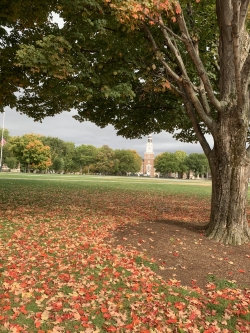 Leaves Changing on The Green