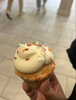 A picture of a cupcake with rainbow sprinkles. 