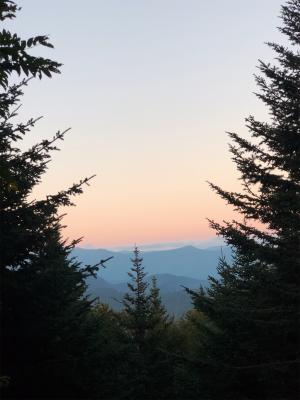 Trips Photo Trips Photo