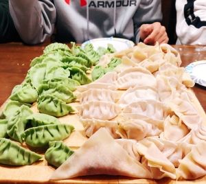 picture of handmade dumplings we made