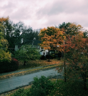 A view of changing fall leaves taken from a dorm window on a rainy day.