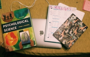 A laptop, psychology textbook, and 2 notebooks resting on a dining room table.