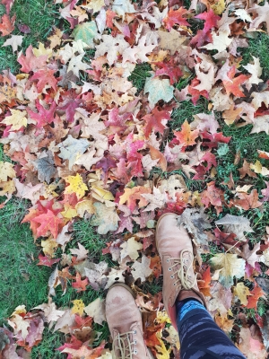 A Carpet of Leafs