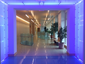 Life Sciences Center purple light