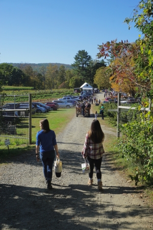 Walking at Riverview Farm Walking at Riverview Farm