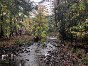 A stream surrounded by fall foliage in Hanover, New Hampshire