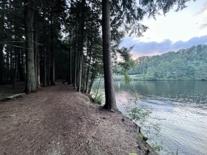 the left half of the photo shows a dirt path disappearing into the woods, and on the right is a river. The photo is taken at sunset.
