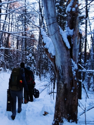 Winterwalk