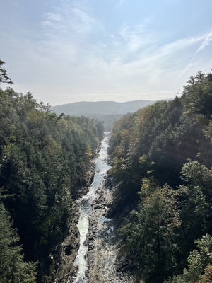A photo of Quechee Gorge, taken from a bridge overlooking the river.