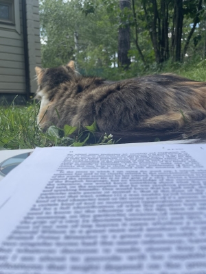 a picture of a printed-out paper in the foreground and Kalina's cat in the background