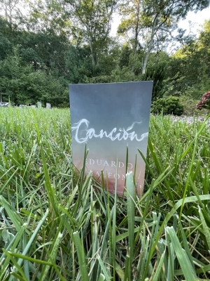 a picture of Eduardo Halfon's book Cancion amongst blades of grass with a backdrop of green trees
