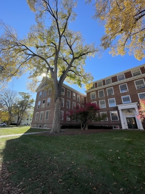 a picture of Silsby hall with a tree with golden leaves in front of it