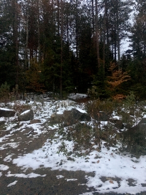 Wright Trailhead