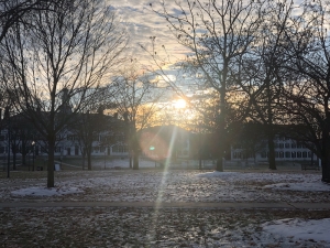 Early morning over snow