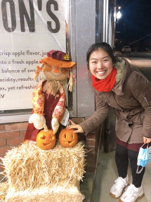 pumpkin halloween