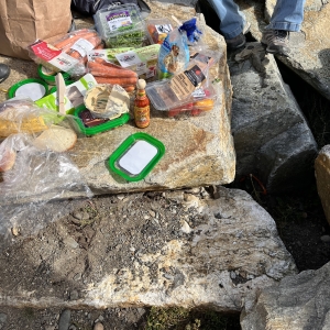 A photo of our lunch food spread out on a rock. The food includes bread, hummus, carrots, cheese, arugula, peppers, and salami.