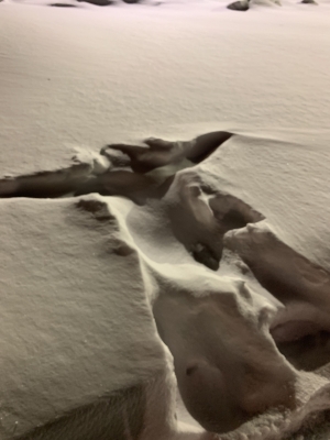 Bodyprint in Snow