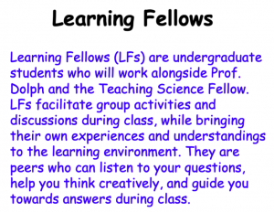 learning fellow
