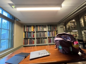 an enclosed library space with bookshelves in the background