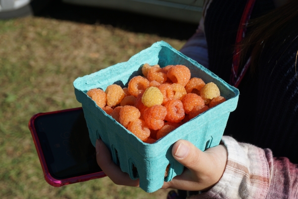Raspberries Raspberries