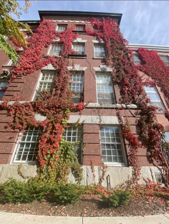A picture Wilder Hall with pretty red foliage wrapped around the brick walls.