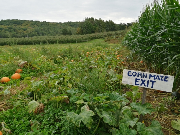 Riverview Farm