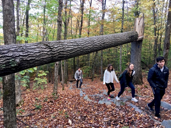 Hike