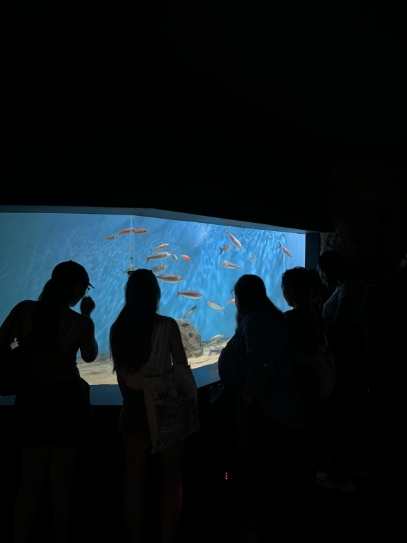 A picture in the dark part of the aquarium in Santander that features Lily's classmates looking into a fishtank