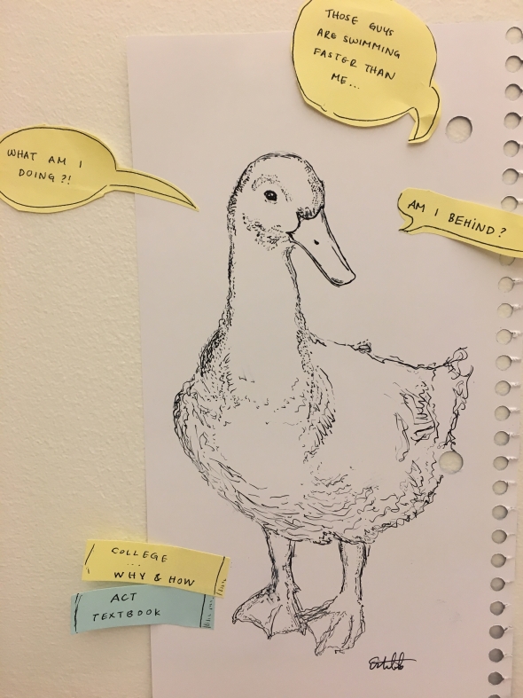 Application Season Duck Syndrome Dartmouth Admissions