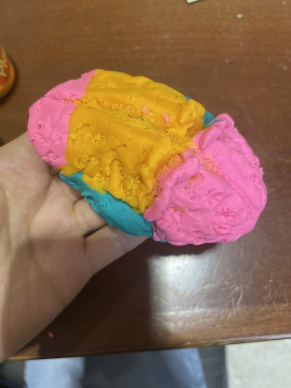 A picture of a brain in Kalina's hand made out of pink, yellow, and blue play-doh