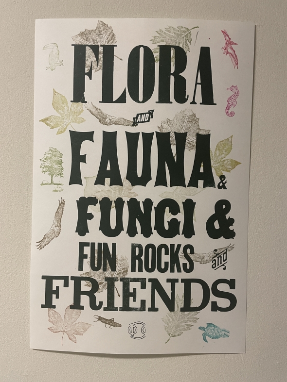 a picture of the decorated Flora and Fauna poster on Kalina's wall