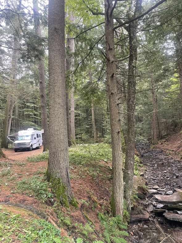 An RV in the middle of the woods at campsite at Storrs Pond Recreation Area in Hanover, New Hampshire