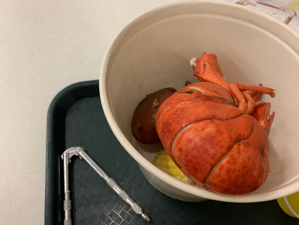 Lobster in a Bucket